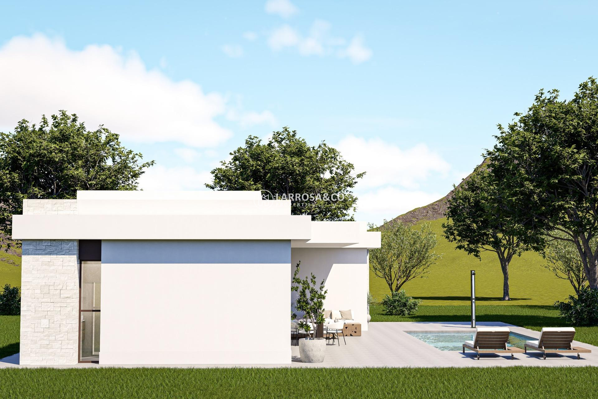New build - Detached House/Villa - Pinoso - Lel