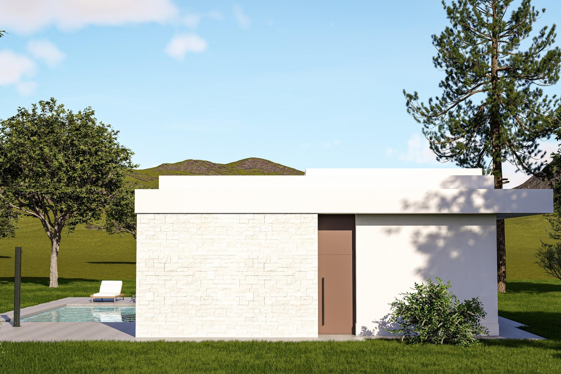 New build - Detached House/Villa - Pinoso - Lel