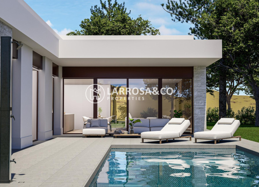 New build - Detached House/Villa - Pinoso - Lel