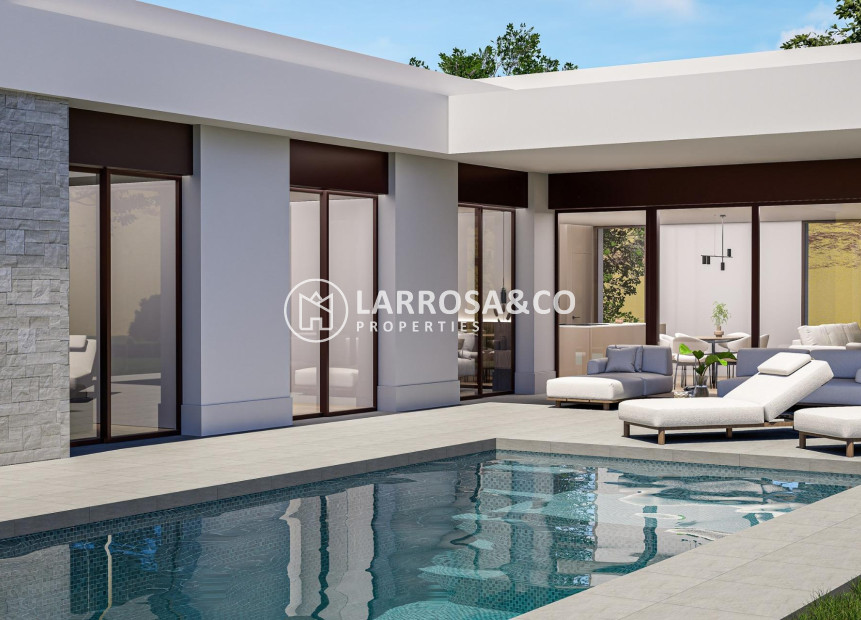 New build - Detached House/Villa - Pinoso - Lel