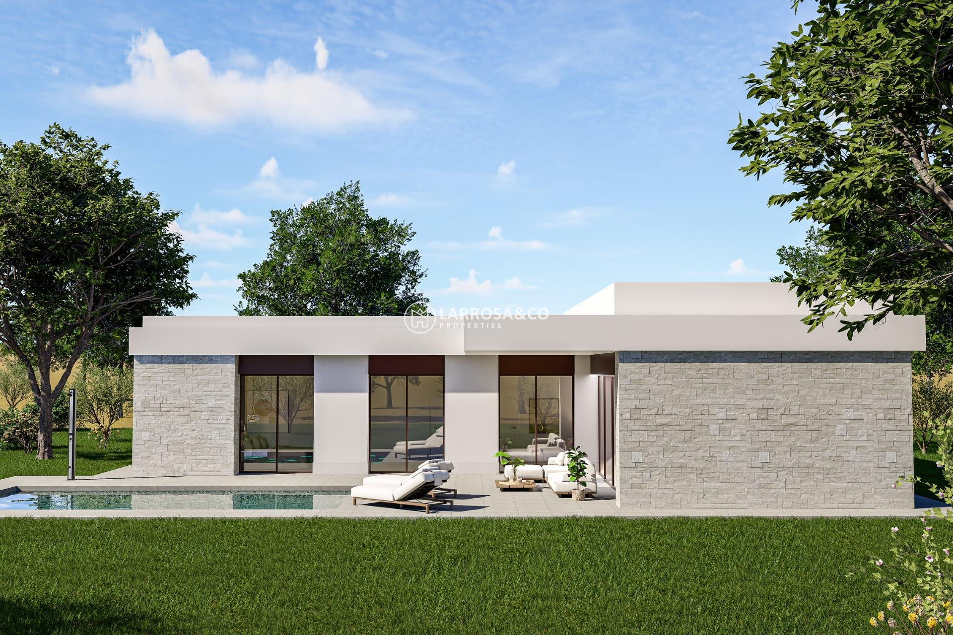 New build - Detached House/Villa - Pinoso - Lel