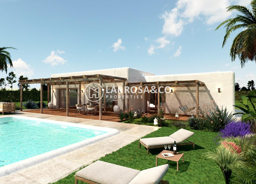 New build - Detached House/Villa - Pinoso - Rodriguillo