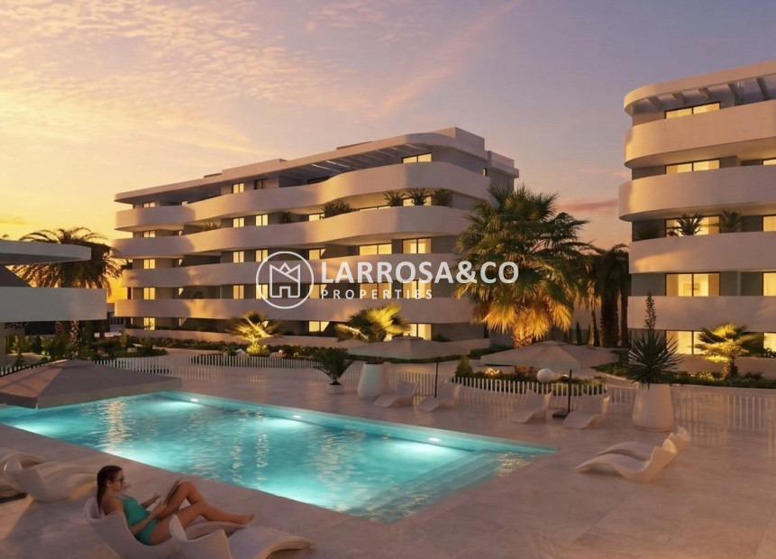 New build - Penthouse  - Guardamar del Segura - El Raso