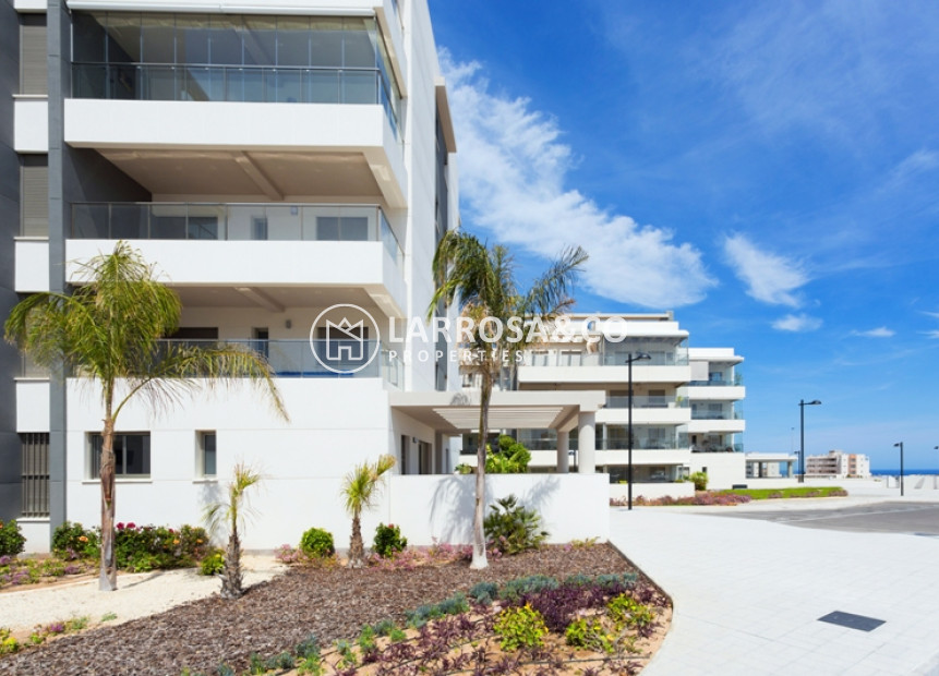 New build - Penthouse  - Orihuela costa - Los Dolses