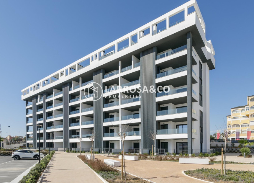 New build - Penthouse  - Torrevieja - Torreblanca