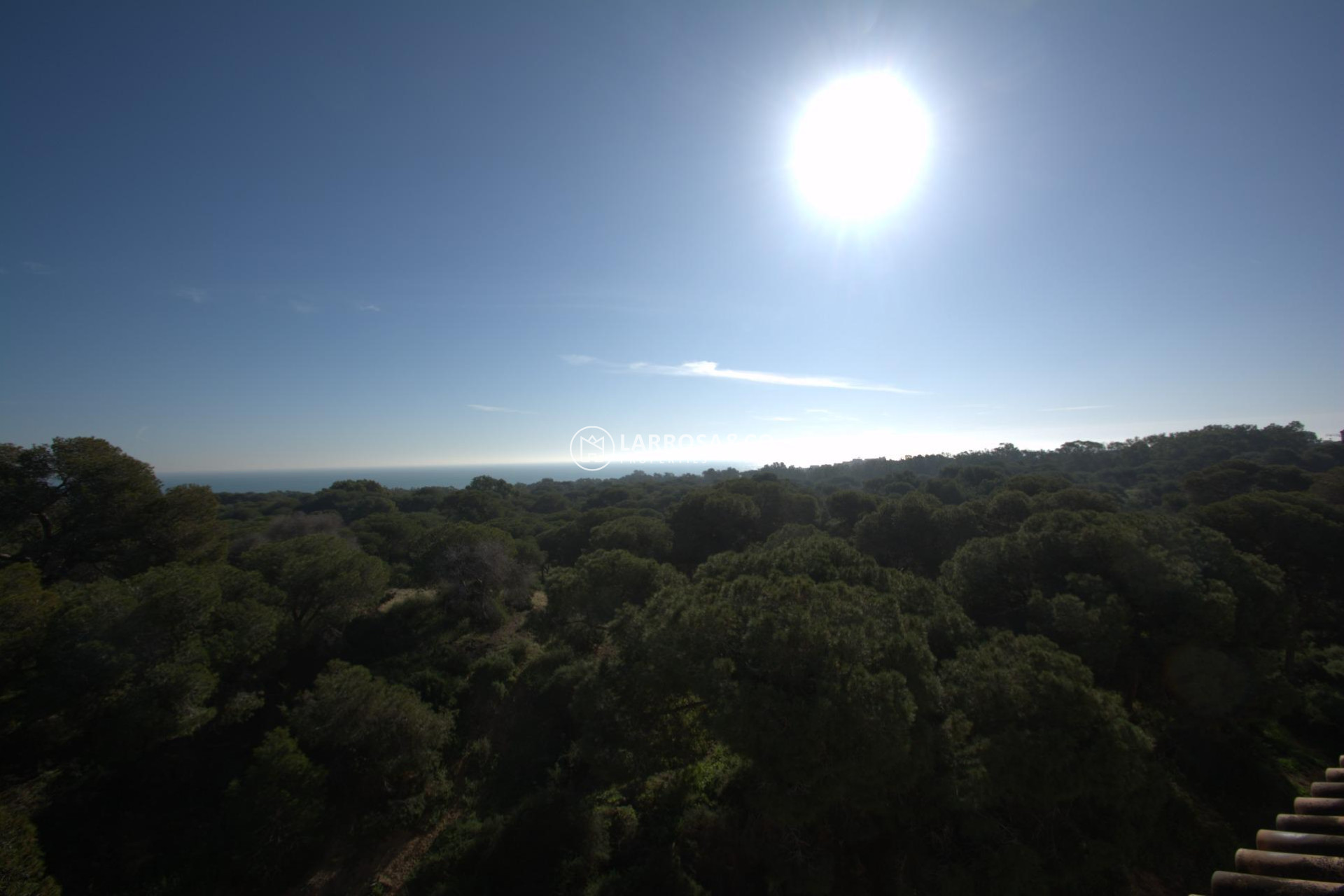 Nieuwbouw Woningen - Apartment - Guardamar del Segura - Pueblo