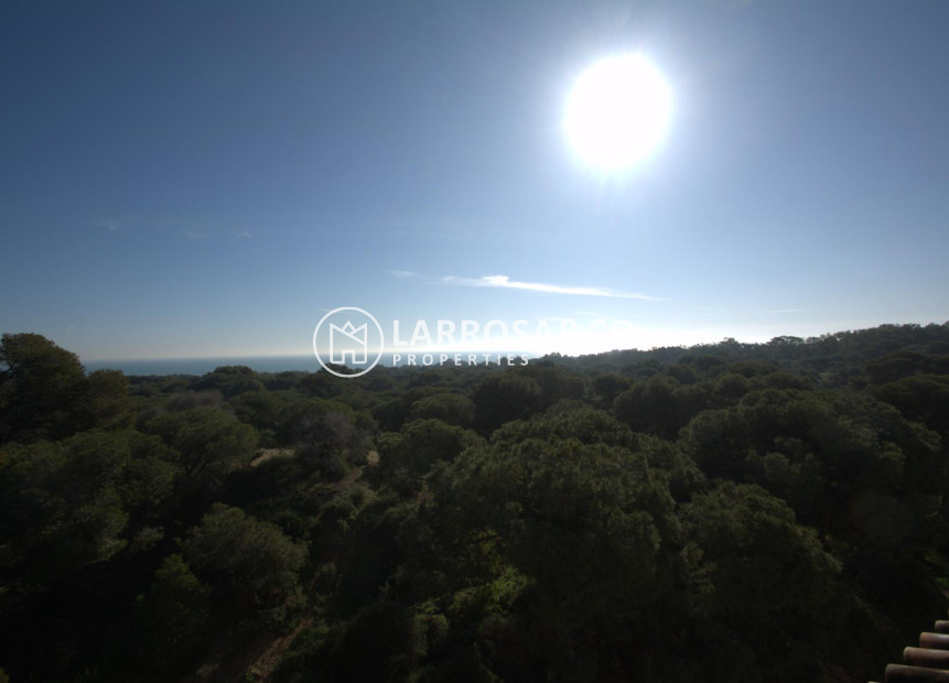 Nieuwbouw Woningen - Apartment - Guardamar del Segura - Pueblo