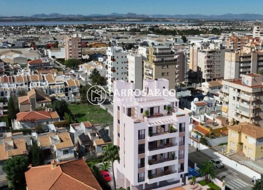 Nieuwbouw Woningen - Apartment - Torrevieja - Nueva Torrevieja