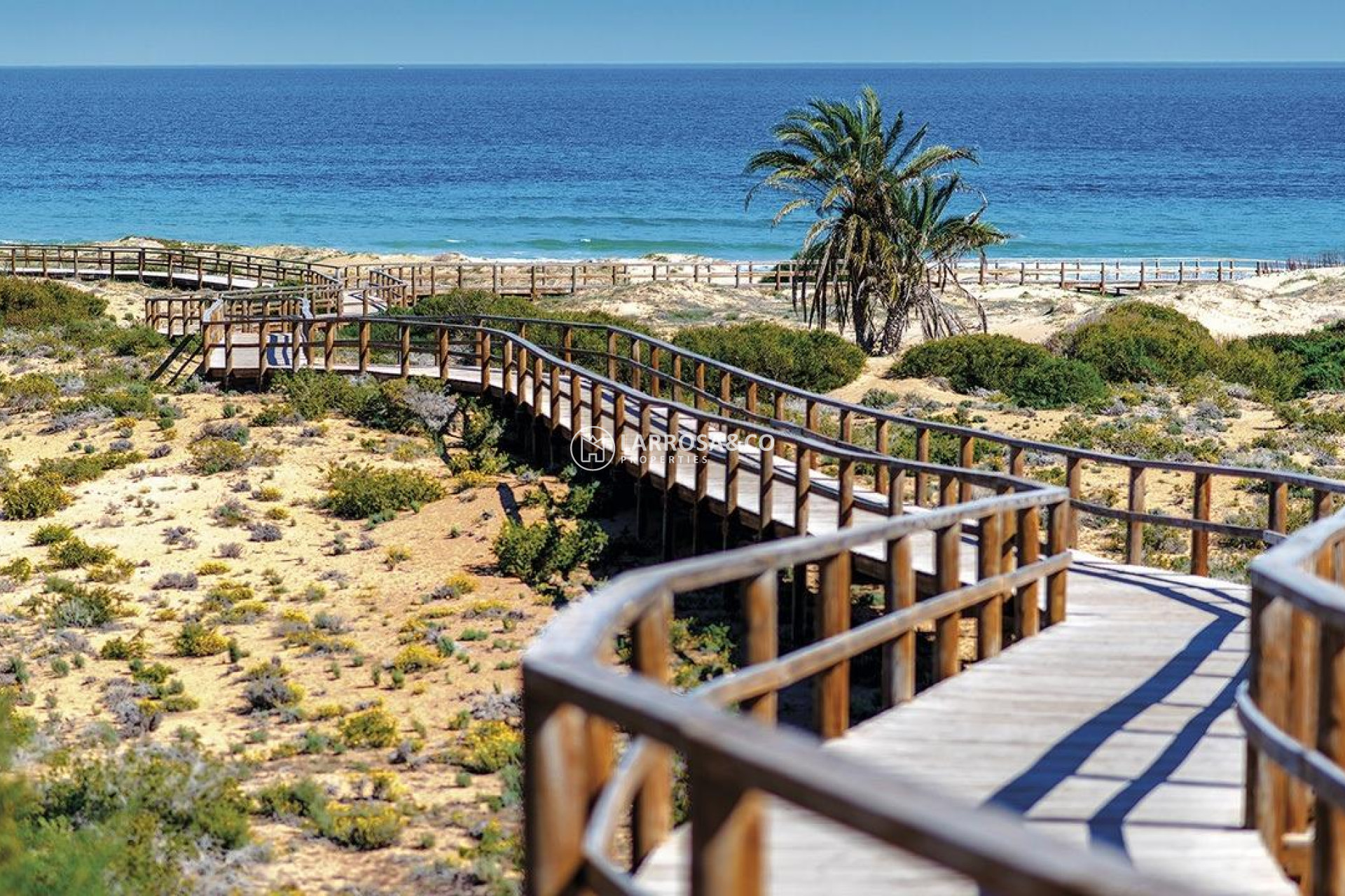 Nieuwbouw Woningen - Penthouse  - Monforte del Cid - Alenda Golf