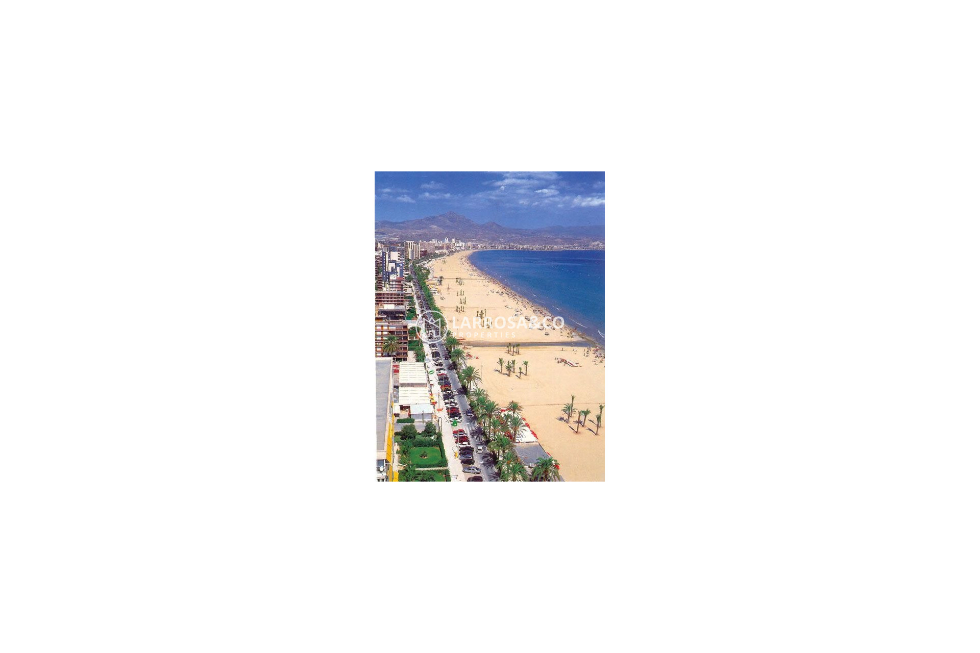 Nieuwbouw Woningen - Penthouse  - San Juan Alicante - Fran Espinos