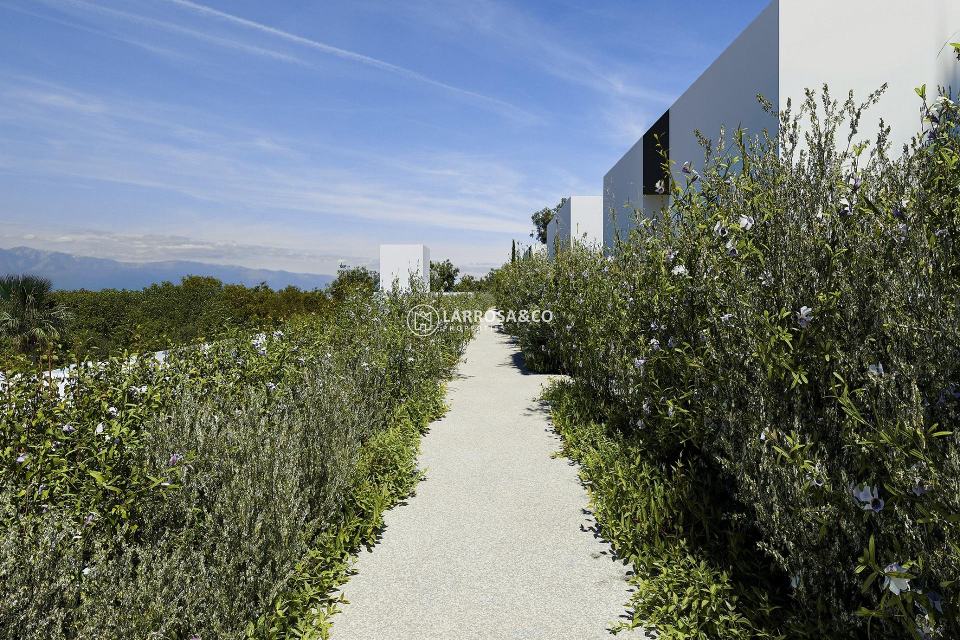 Nieuwbouw Woningen - Villa - Alfas del Pi - Barranc Fondo