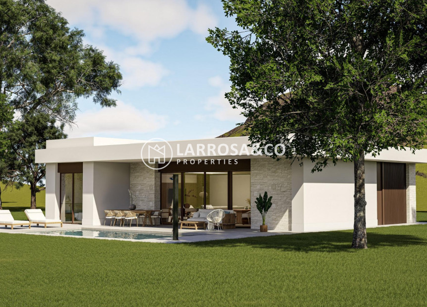 Nieuwbouw Woningen - Villa - Pinoso - Lel