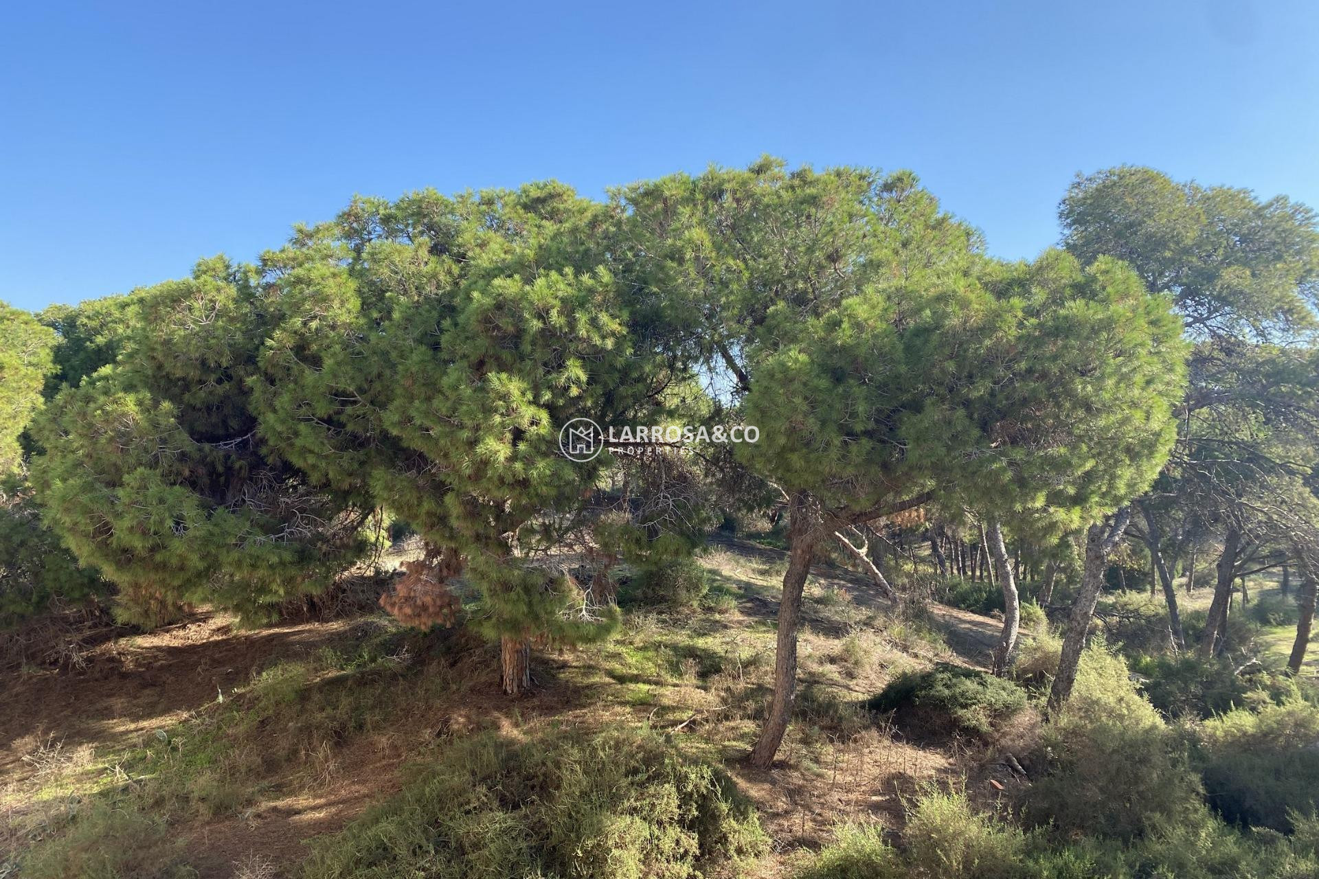 Nouvelle Construction - Apartment - Guardamar del Segura - Centro