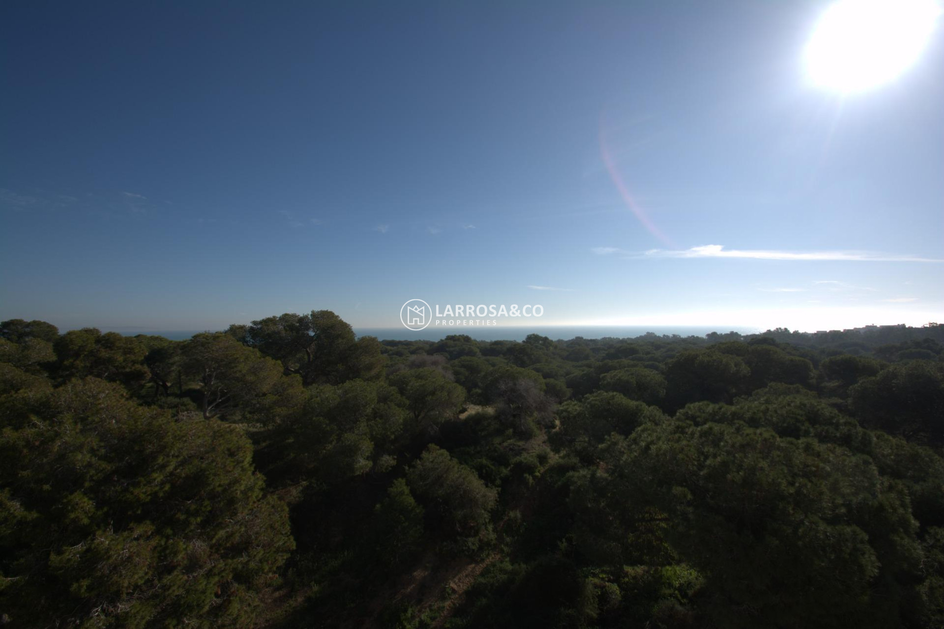 Nouvelle Construction - Apartment - Guardamar del Segura - Pueblo