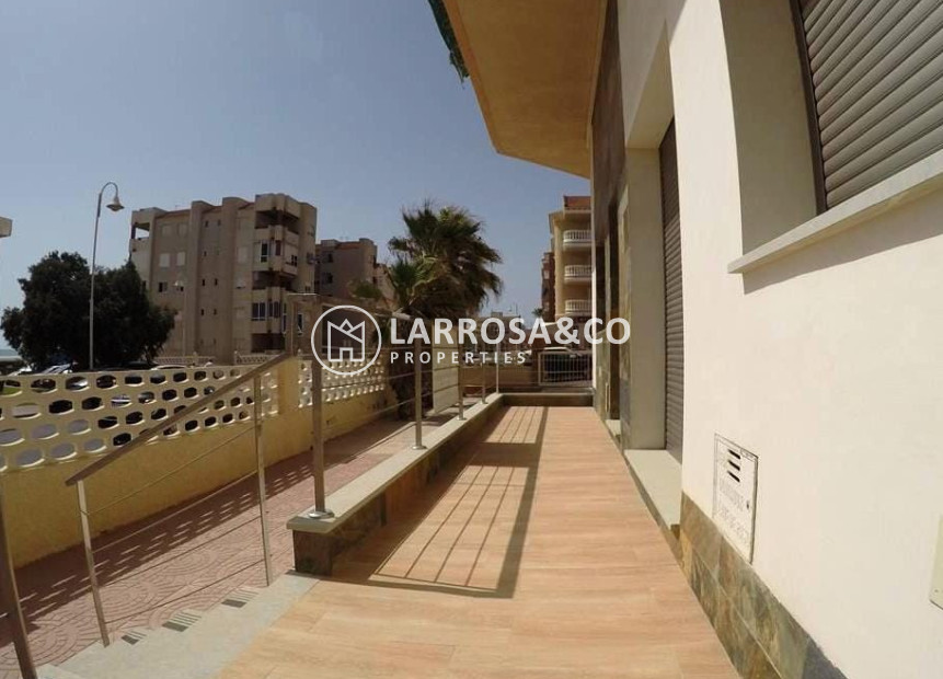 Nouvelle Construction - Apartment - Guardamar del Segura