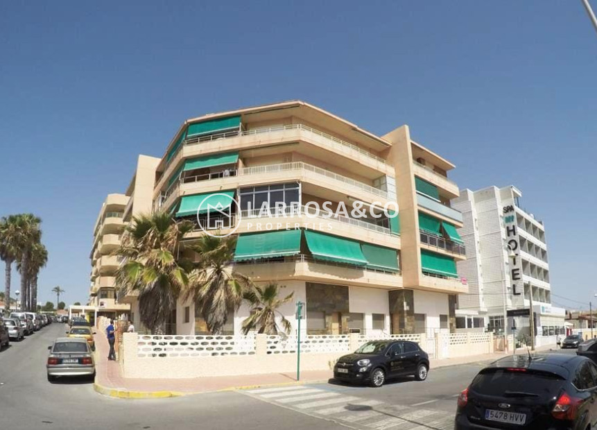 Nouvelle Construction - Apartment - Guardamar del Segura