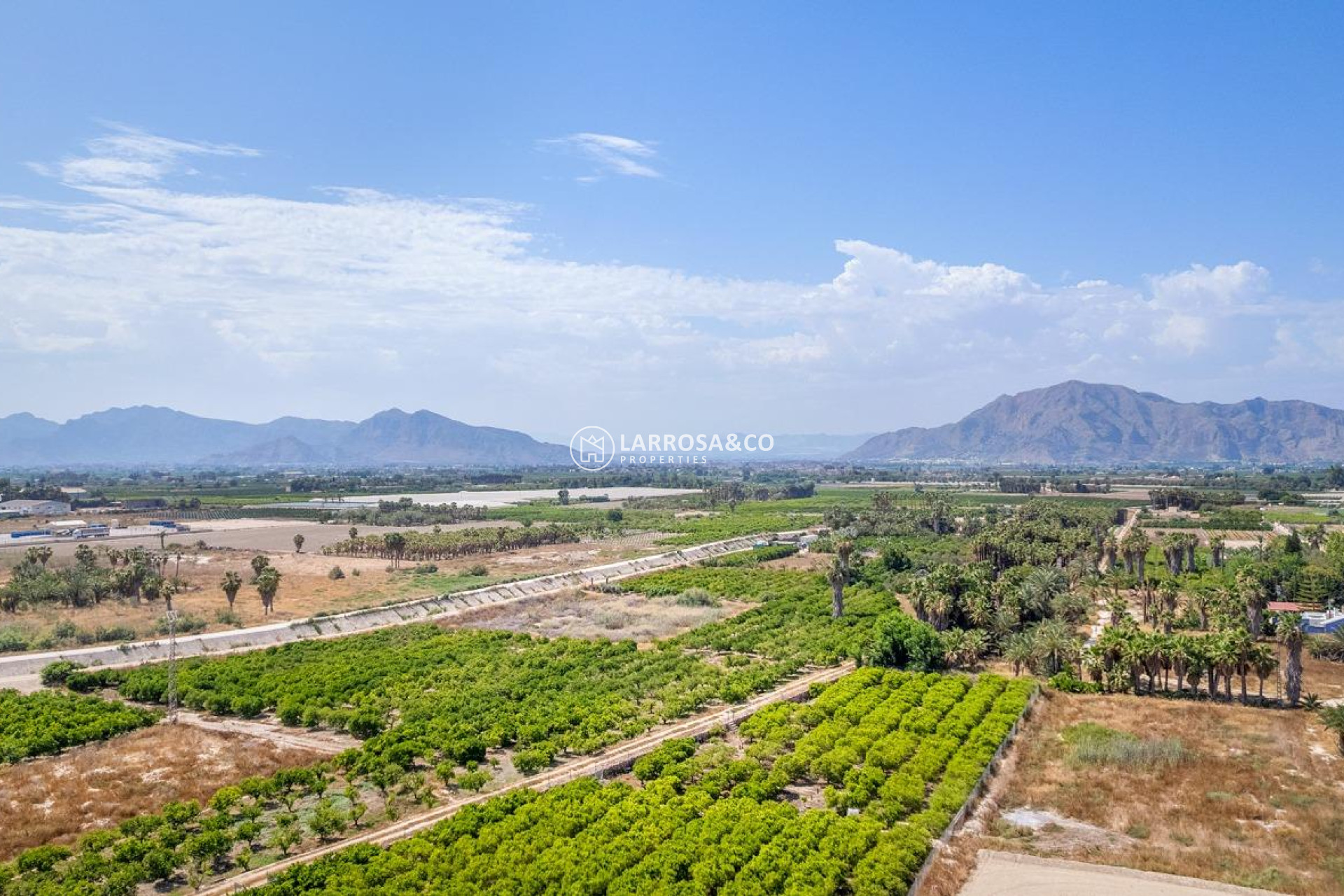 Nouvelle Construction - Apartment - Jacarilla - pueblo