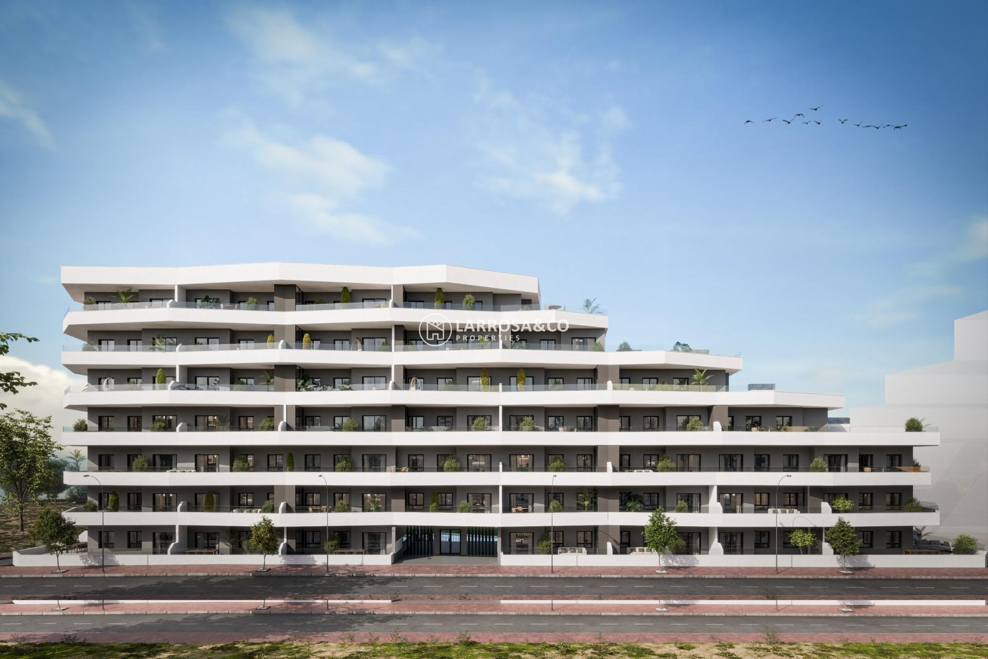 Nouvelle Construction - Apartment - San Miguel de Salinas - Pueblo
