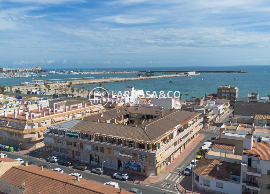 Nouvelle Construction - Apartment - Torrevieja - Playa Los Naufragos