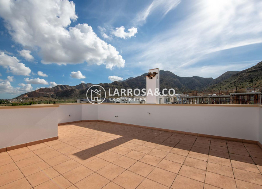 Nouvelle Construction - Bungalow - Cox - San Fernando