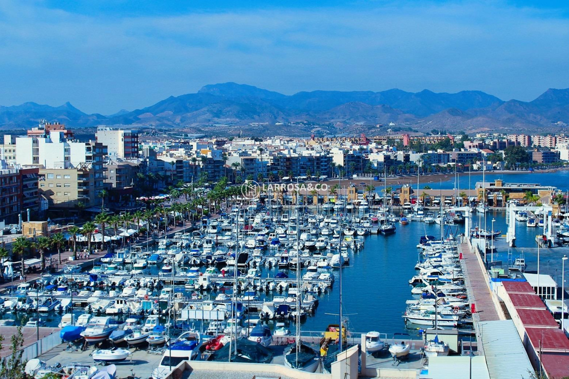 Nouvelle Construction - Bungalow - Fuente Álamo - La Pinilla