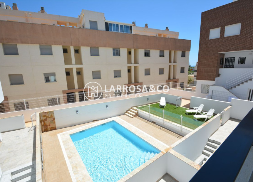 Nouvelle Construction - Bungalow - Guardamar del Segura - Los Secanos