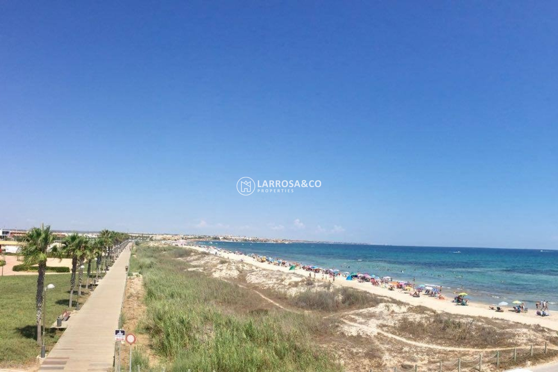 Nouvelle Construction - Bungalow - Pilar de la Horadada - La Torre de la Horadada