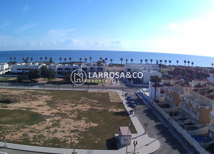 Nouvelle Construction - Bungalow - Pilar de la Horadada - Playa de las Higuericas