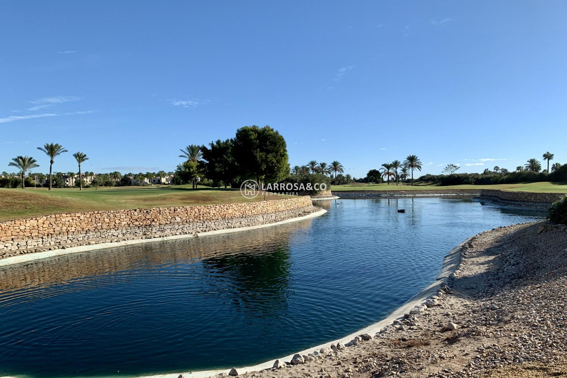 Nouvelle Construction - Bungalow - San Javier - Roda Golf