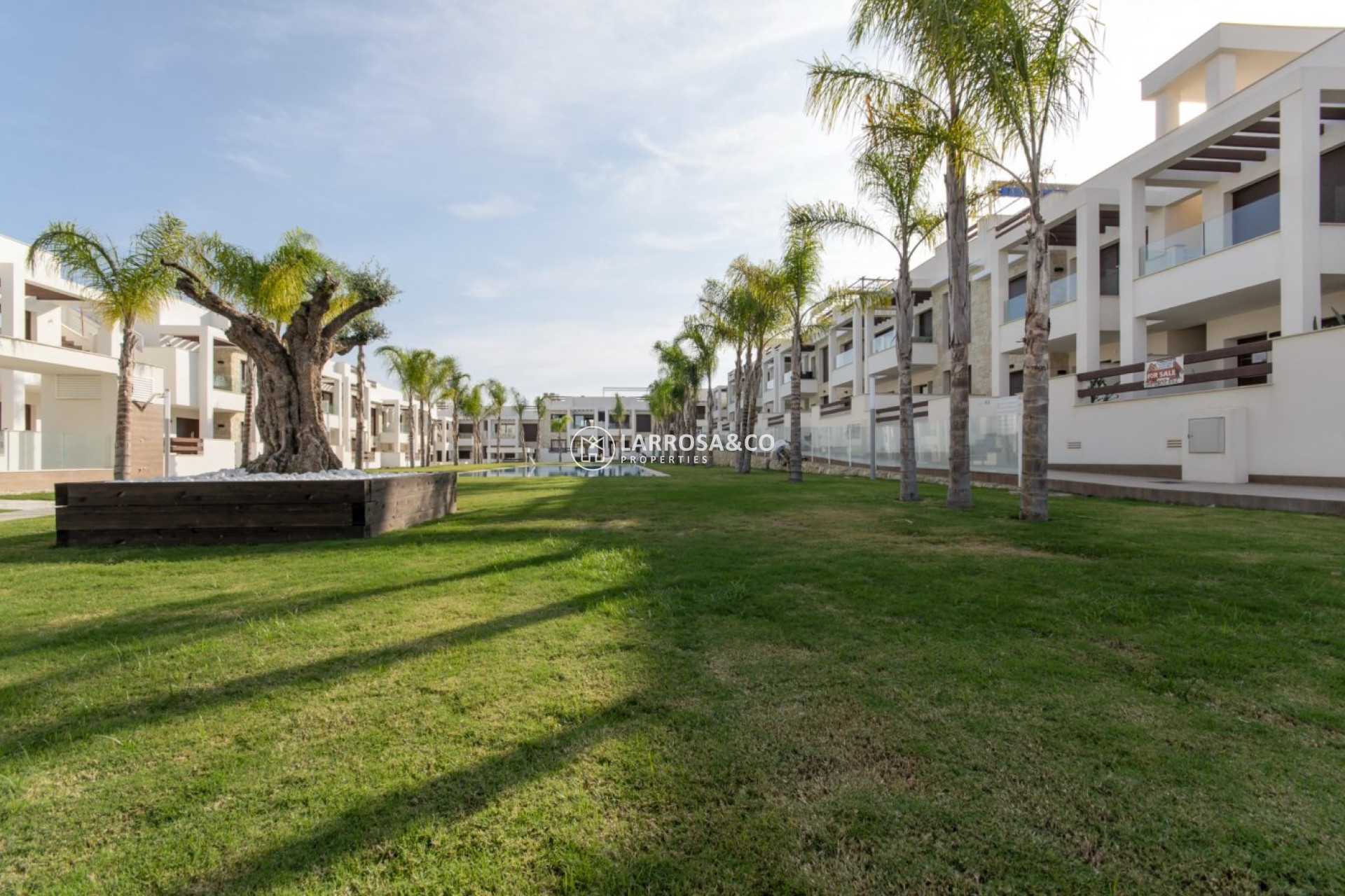 Nouvelle Construction - Bungalow - Torrevieja - Los Balcones