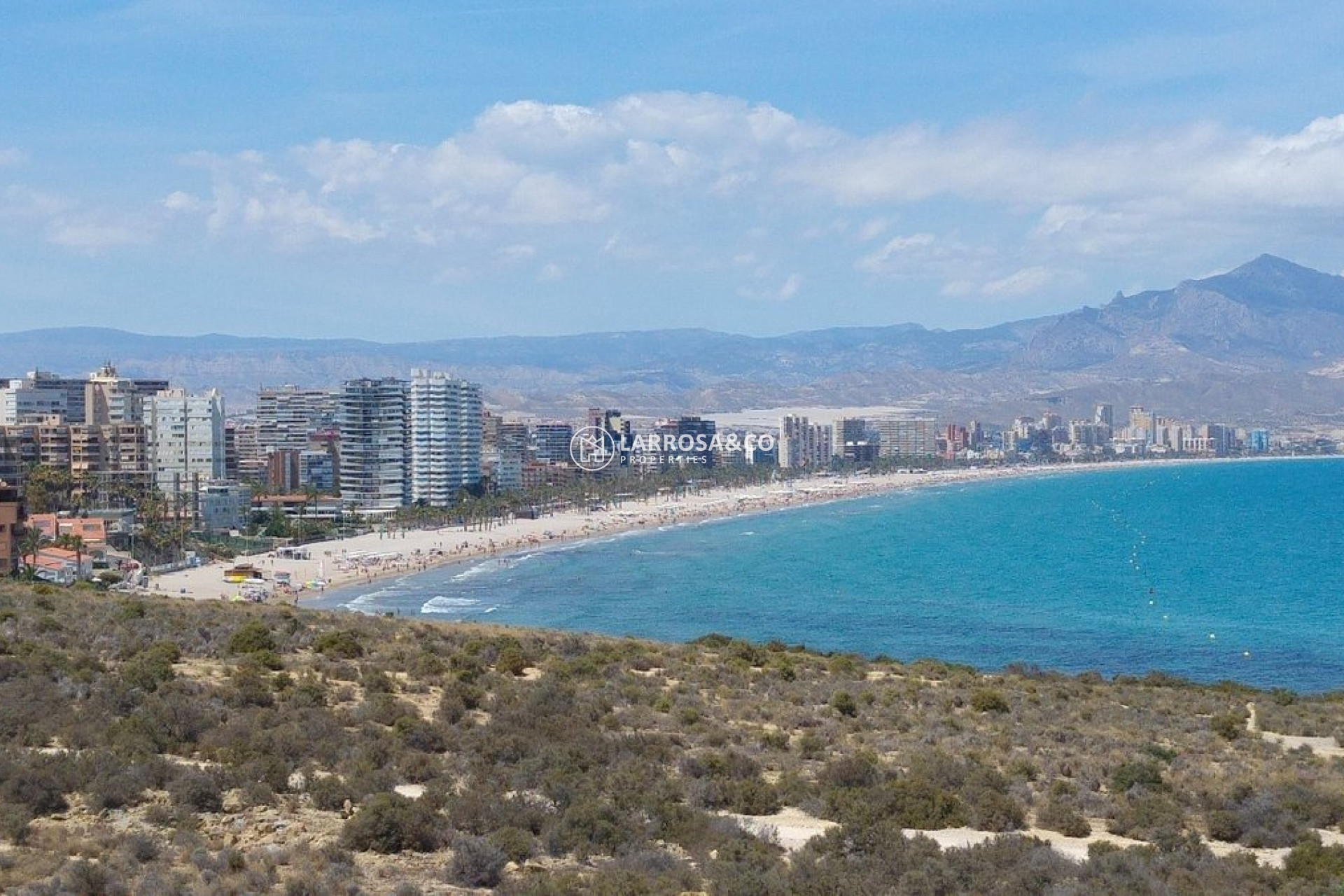 Nouvelle Construction - Penthouse  - San Juan Alicante - Franc Espinós