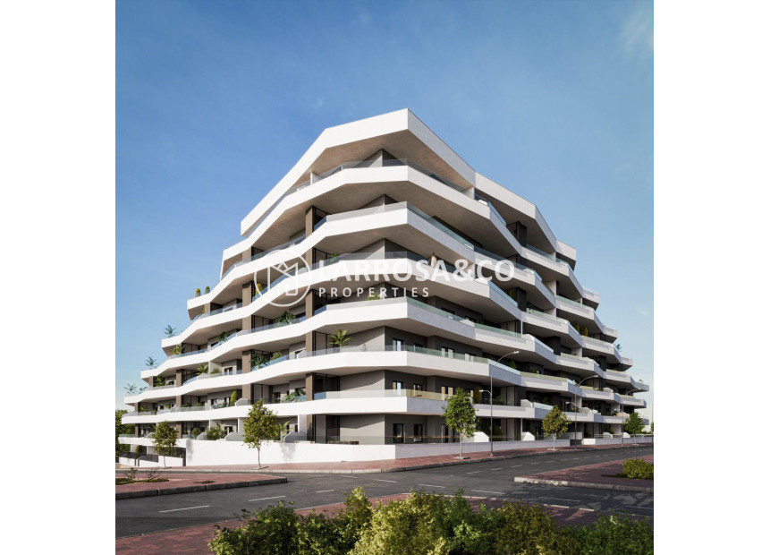 Nouvelle Construction - Penthouse  - San Miguel de Salinas - Pueblo