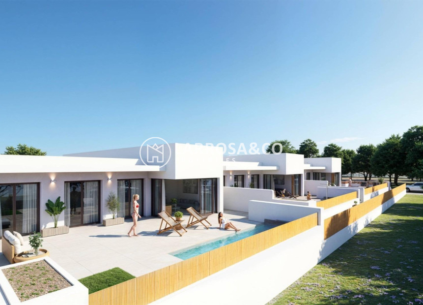 Nouvelle Construction - Semi-detached house - Dolores - Sector 3