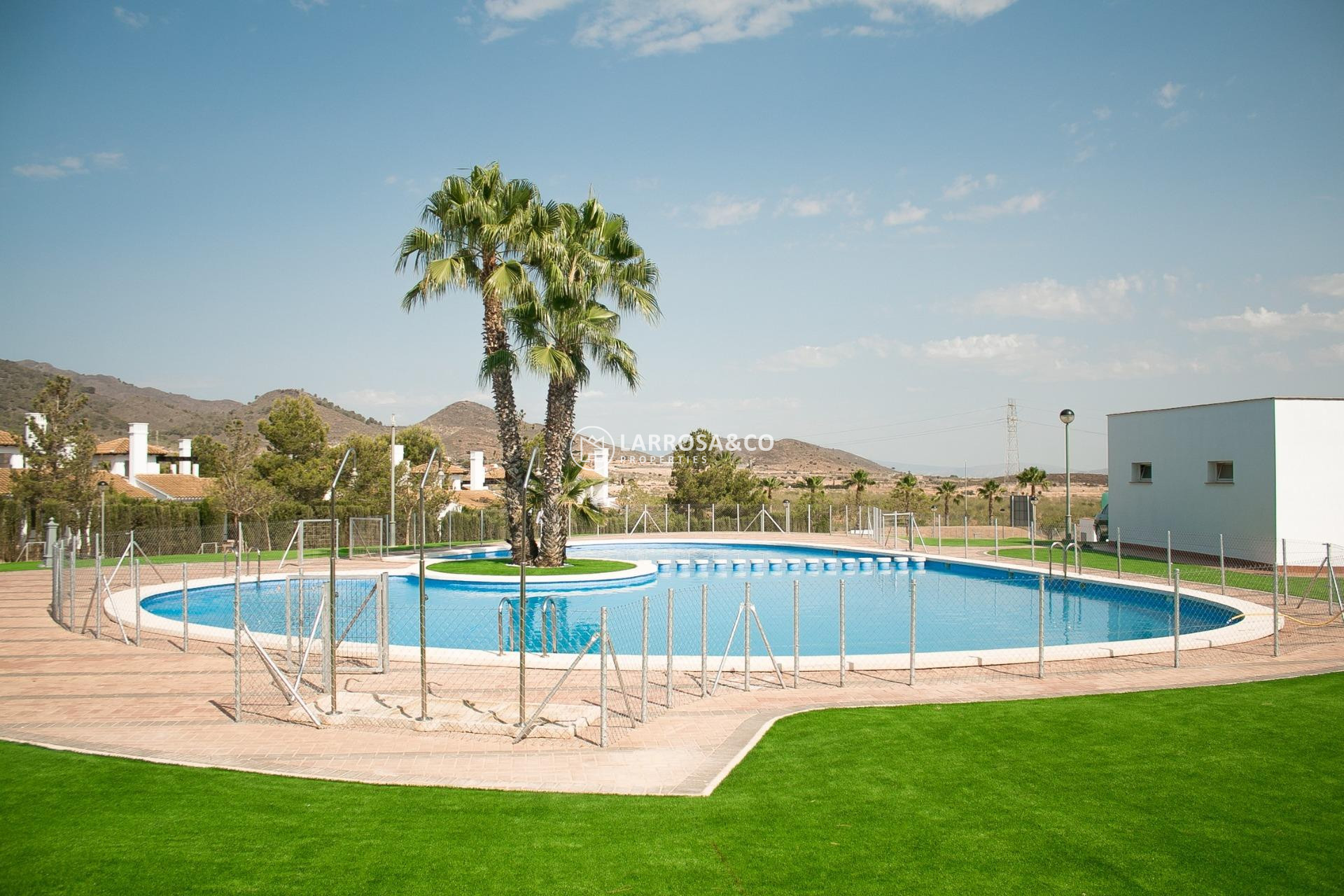 Nouvelle Construction - Semi-detached house - Fuente Álamo - Las Palas