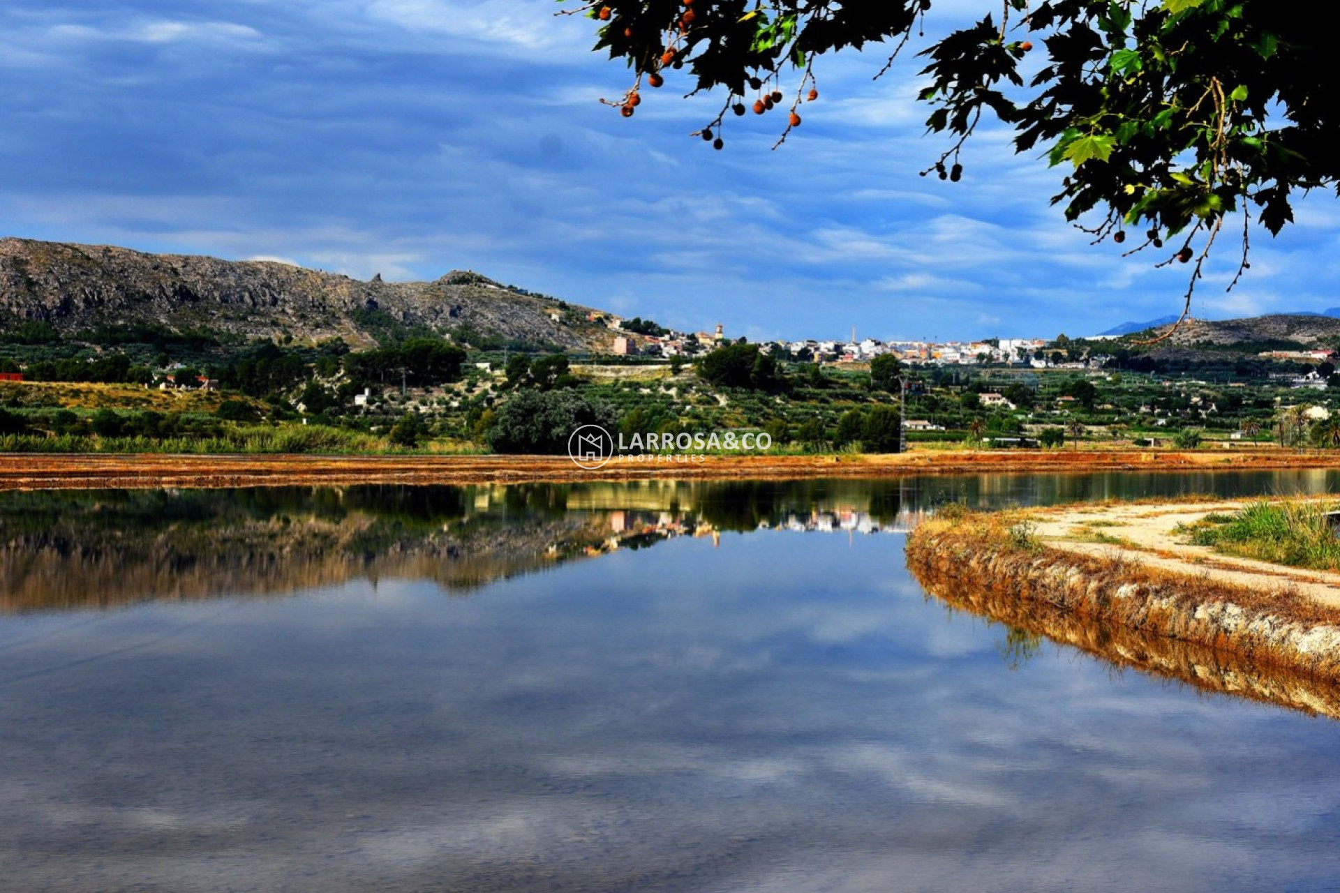 Nouvelle Construction - Villa - Calasparra - Coto riñales