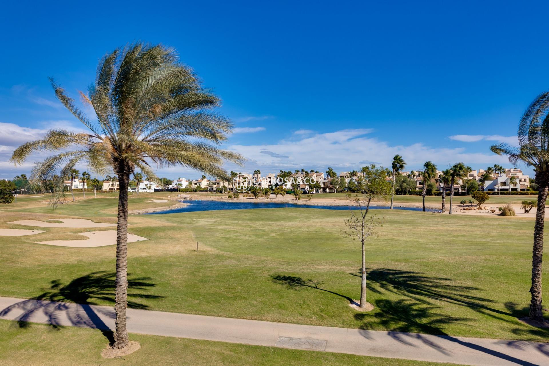 Nouvelle Construction - Villa - Pilar de la Horadada - Lo Romero Golf