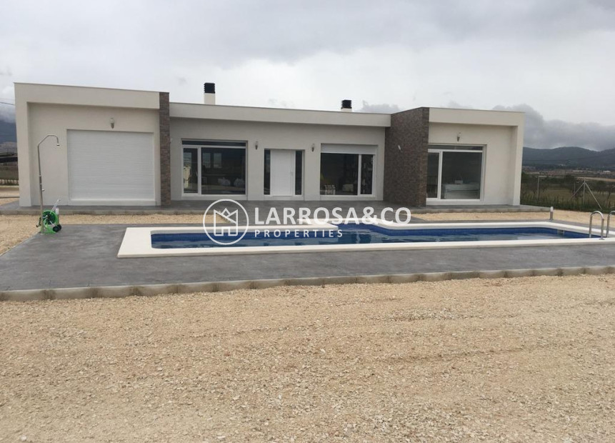 Nouvelle Construction - Villa - Pinoso - Camino Del Prado