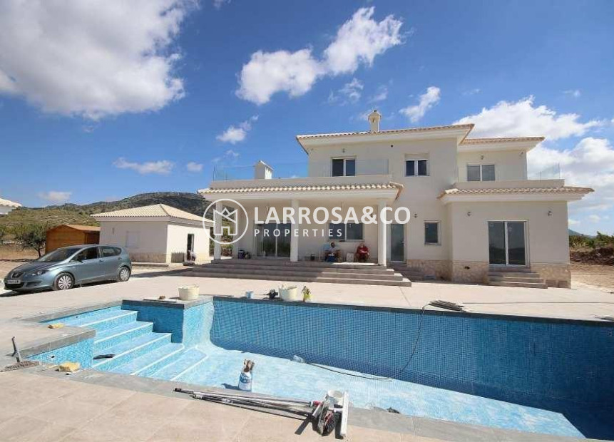 Nouvelle Construction - Villa - Pinoso - Camino Del Prado