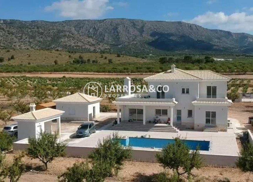 Nouvelle Construction - Villa - Pinoso - Camino Del Prado