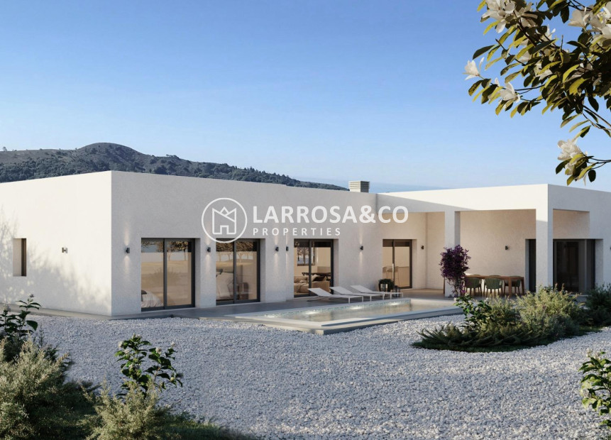 Nouvelle Construction - Villa - Pinoso - Campo