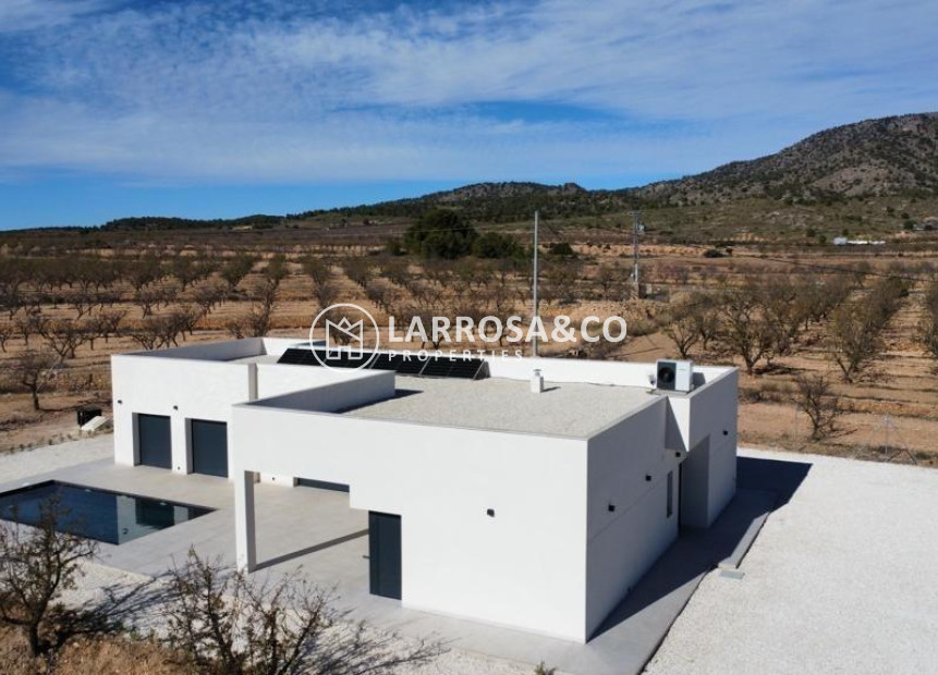 Nouvelle Construction - Villa - Pinoso - Campo