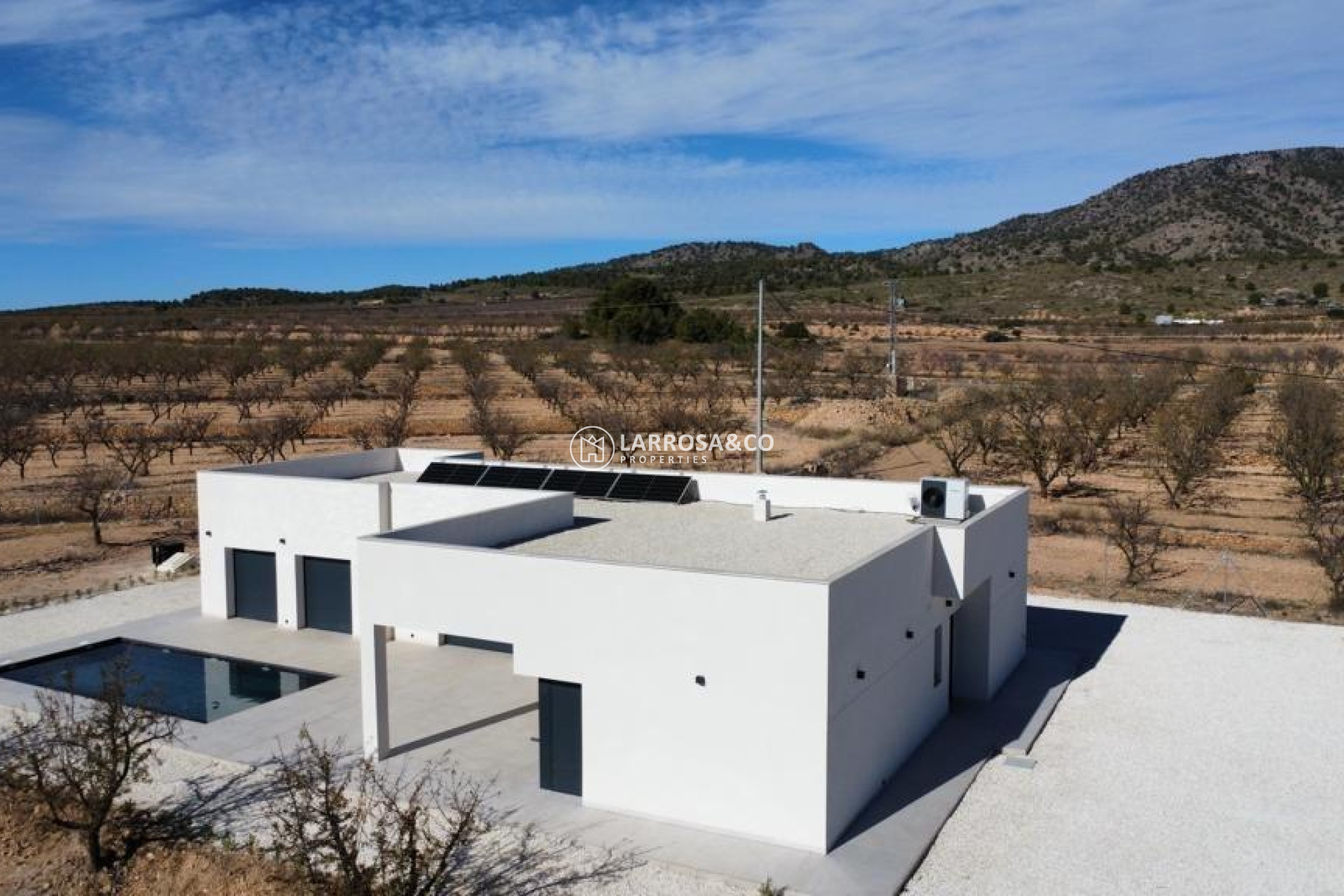 Nouvelle Construction - Villa - Pinoso - Campo