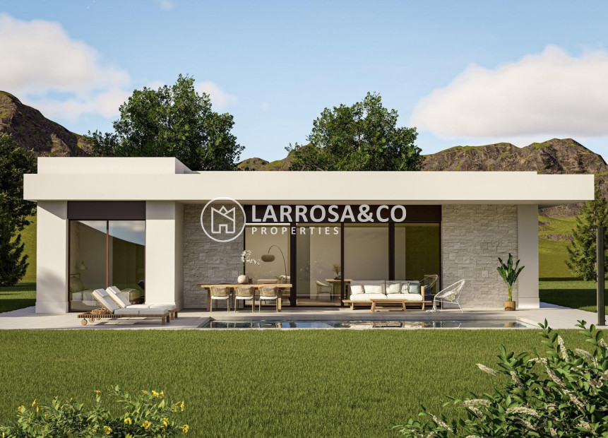 Nouvelle Construction - Villa - Pinoso - Lel