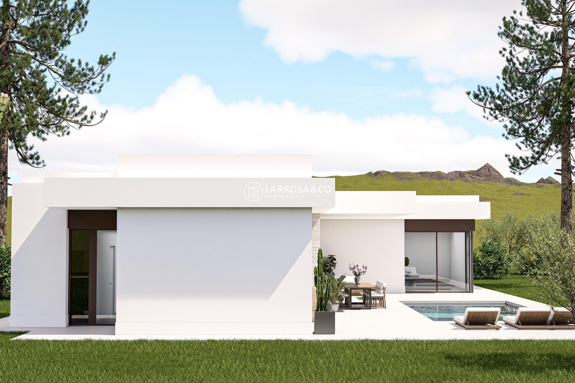 Nouvelle Construction - Villa - Pinoso - Lel