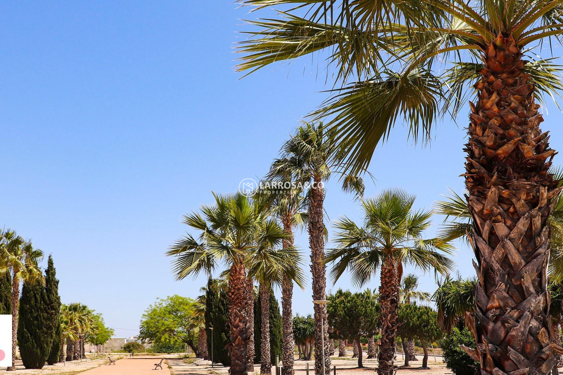 Nouvelle Construction - Villa - San Fulgencio - La Escuera