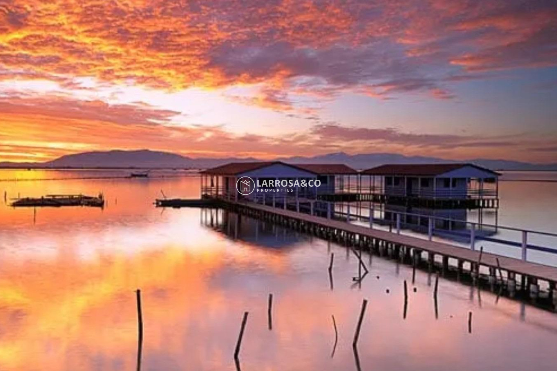 Новостройка - Бунгало - Сан Педро дель Пинатар - Los Pinos