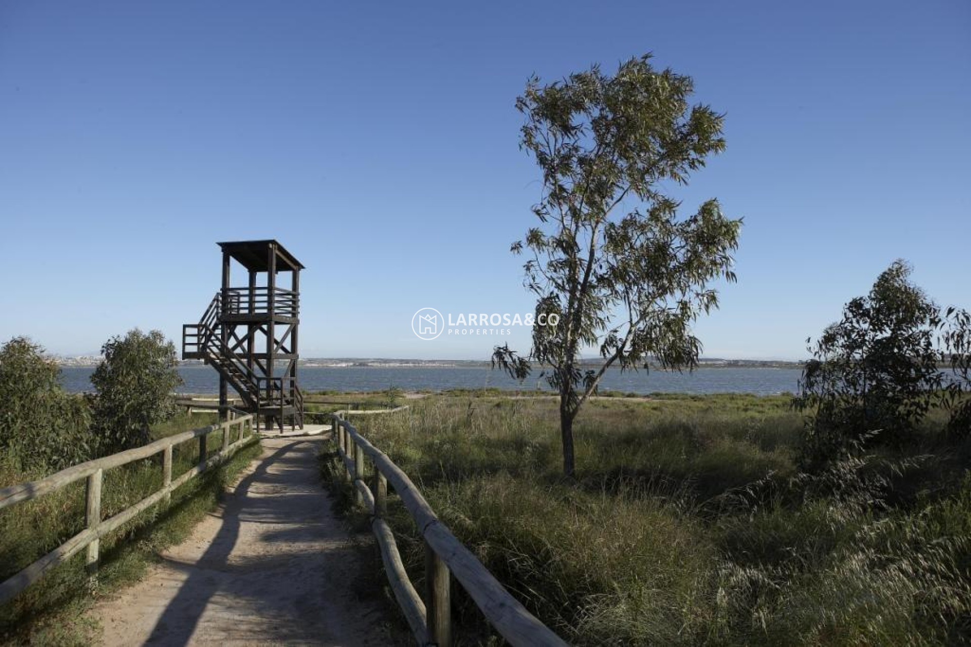 Новостройка - Бунгало - Торревьеха - Torrejón