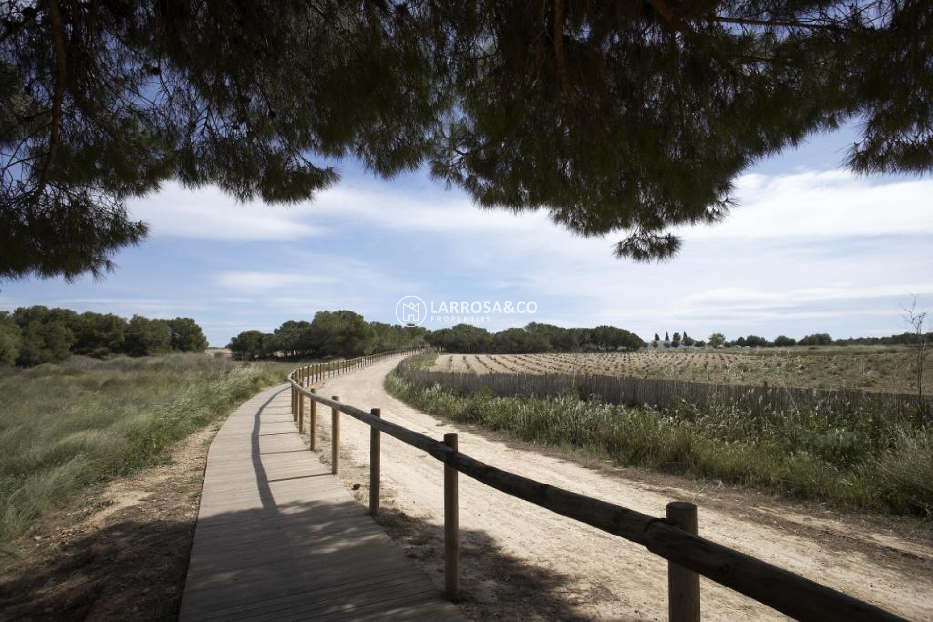 Новостройка - Бунгало - Торревьеха - Torrejón