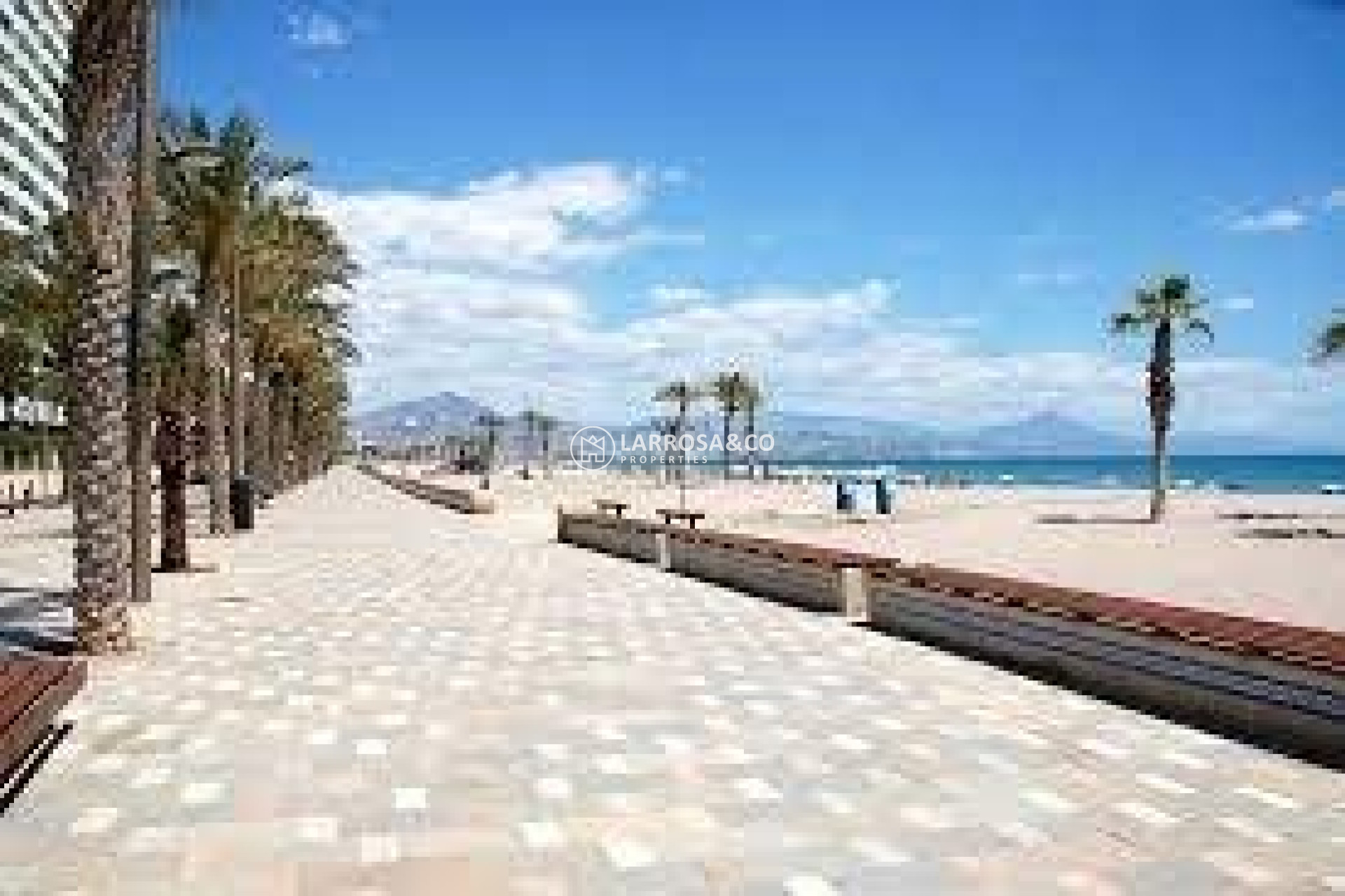 Новостройка - Квартира - San Juan Alicante - Fran Espinos