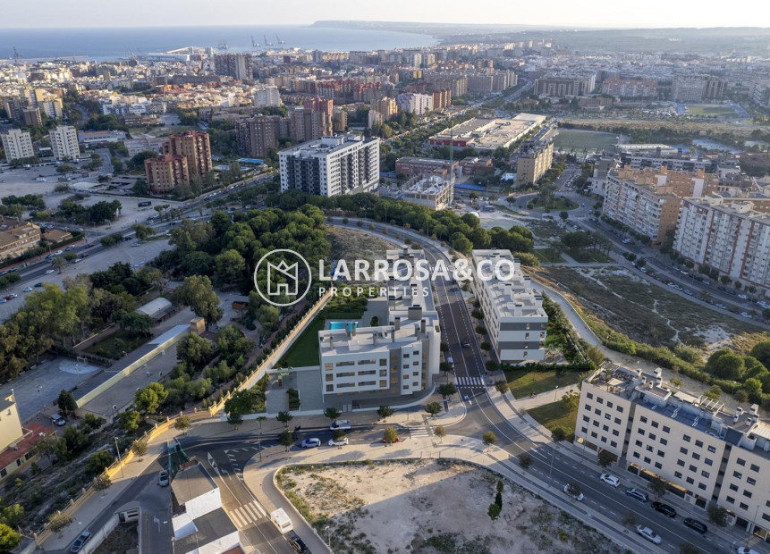 Obra Nueva - Apartamento - Alicante - Pau Ii